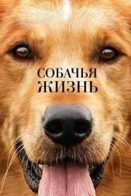 Собачья жизнь (2017)