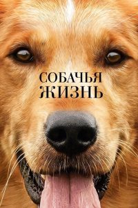 Собачья жизнь (2017)