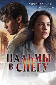 Пальмы в снегу (2015)