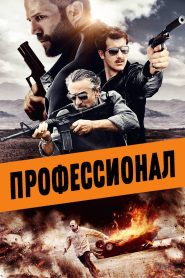 Профессионал (2011)